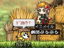 06042407.jpg
