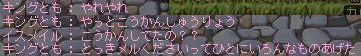 06042413.jpg