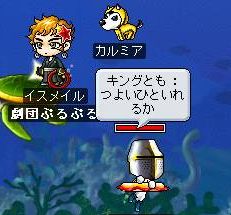 06042727.jpg