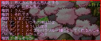 07040811.jpg